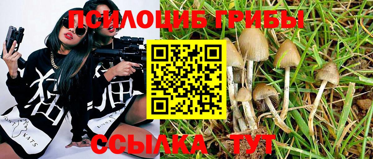 Дагестанские Огни  наркота  Вход с VPN  Псилоцибиновые грибы мухоморы 